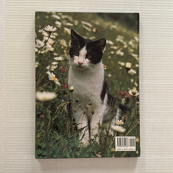 CATS By Tom Howard 1992 Coffee Table Picture Book 14” x 10” - Picture 2 of 6